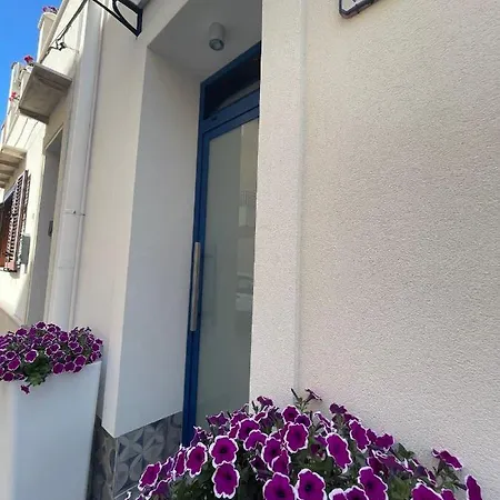 Nautilus 2 * 테라시니